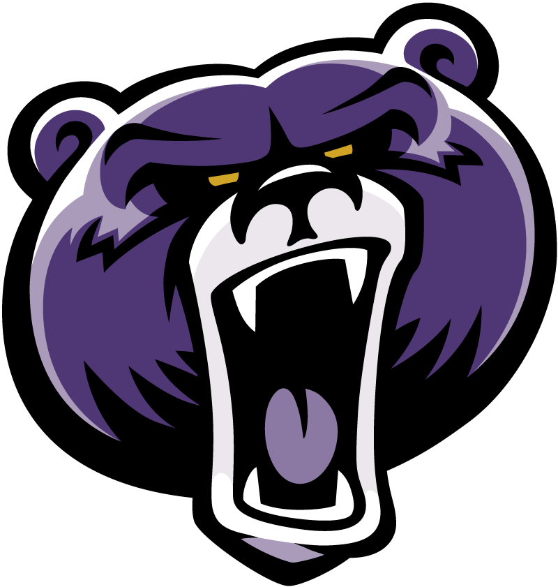 Bellevue University Logo