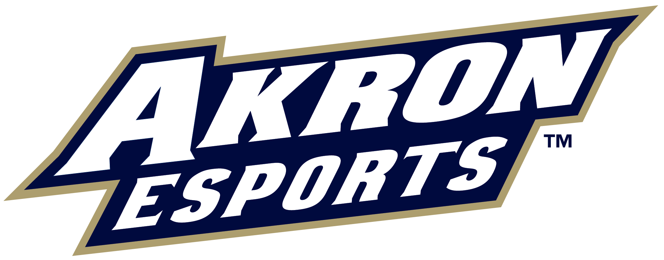 University of Akron Logo